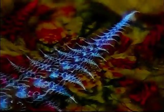 Sexy - Dance   Vol. 19 Goa   Trance       DJ SirDragon       .wmv